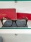 Gọng kính Cartier mã CT02910A.006 ( nhựa Acetate cao cấp )